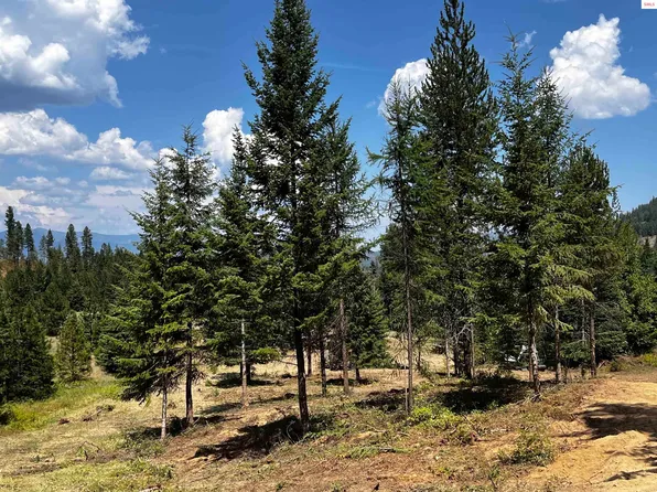 Nna Schneiders Rd Lot 1, Sagle, ID 83860