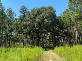 29424 George White Rd, Holden, LA 70744