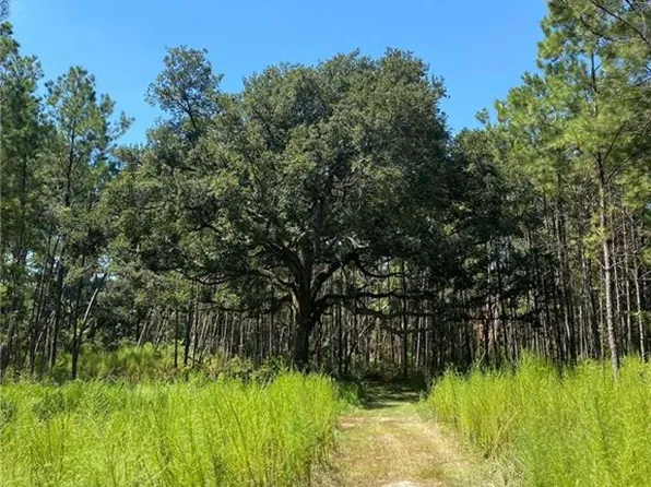 29424 George White Rd, Holden, LA 70744