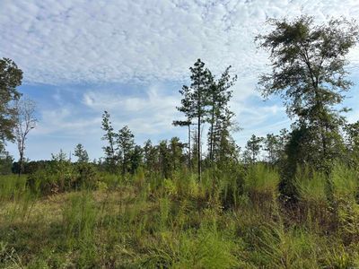 N Tract Grant County Rd #68, Sheridan, AR, 72150
