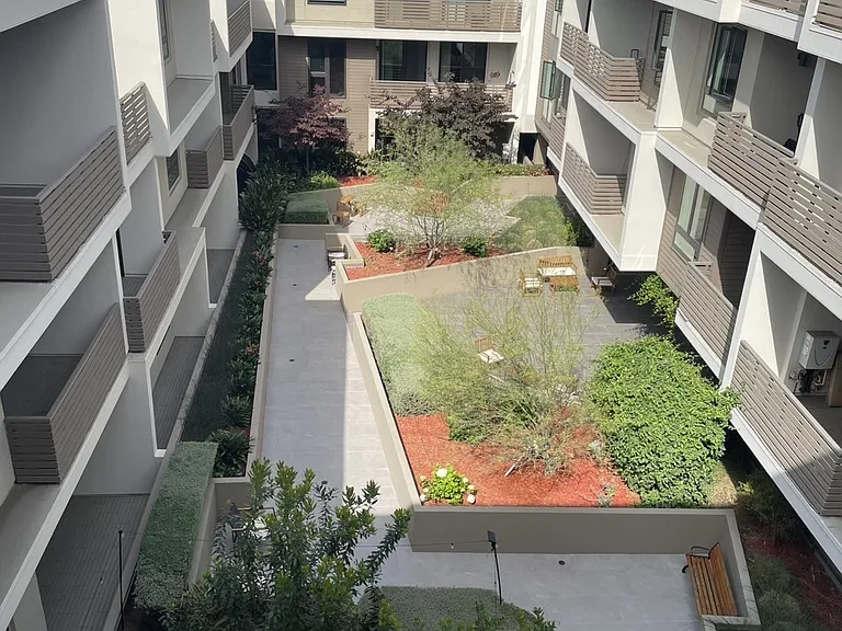 Skyleaf — Photo 6