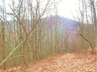 152 Brown Rd, Asheville, NC 28806