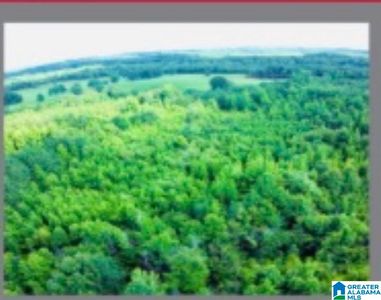 4035 Highway 60 #0, Eutaw, AL, 35462