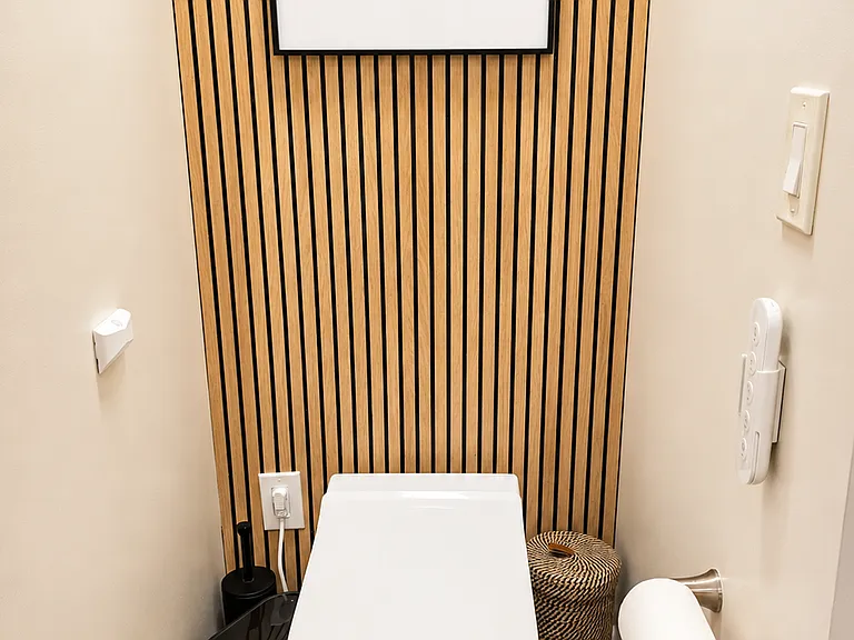 Primary bath smart toilet