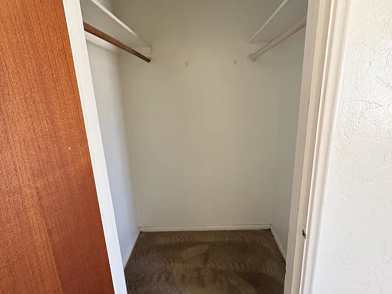 Master walk in closet