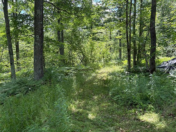 2nd image of 599XX Tamarack River Rd
