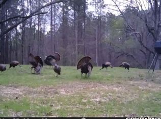 0 Green Door Rd, Eupora, MS 39744