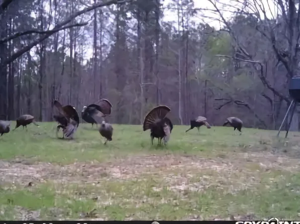 0 Green Door Rd, Eupora, MS 39744