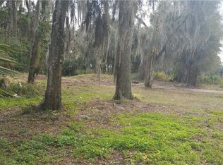 1320 Swamp Ln, Geneva, FL 32732