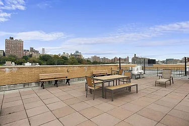Rented by Bold New York
