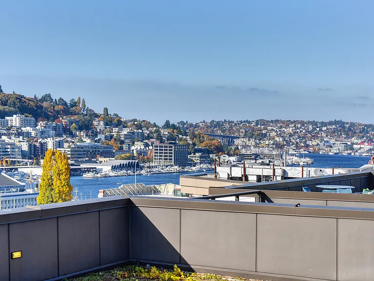 View of Water from Rooftop