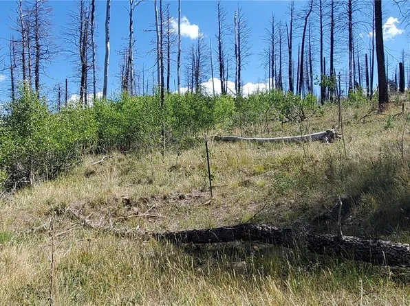 Lot 1064 Reed Lane LOT 1064, Fort Garland, CO 81133