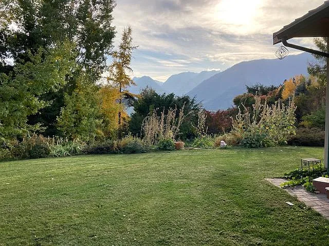 front yard