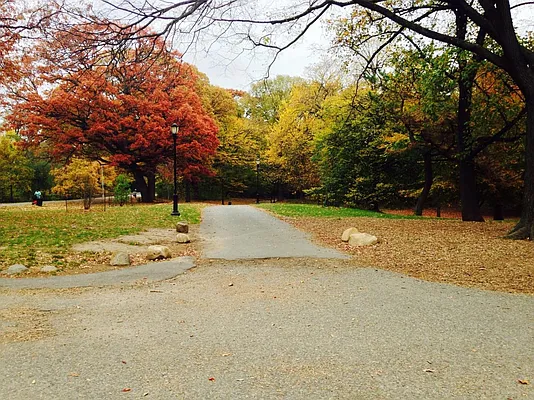 Rented by Compass | media 6