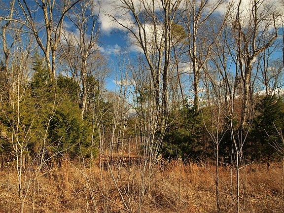 2nd image of 7681 Highway 68 Lot 7