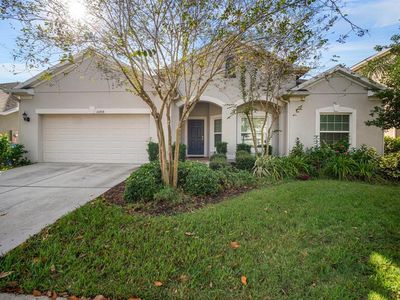 10438 Flagstaff Falls Ave, Riverview, FL, 33578
