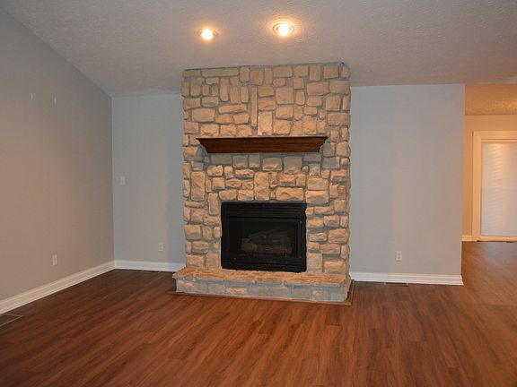 Living room fireplace