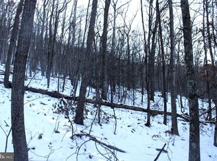 Lake Ferndale Dr, Springfield, WV 26763