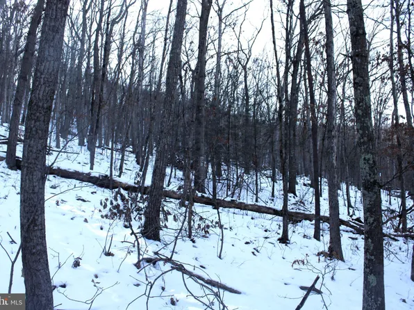 Lake Ferndale Dr, Springfield, WV 26763
