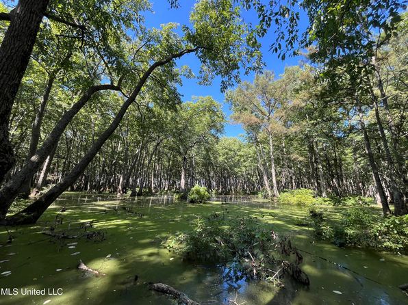 County Road 516, Schlater, MS 38952