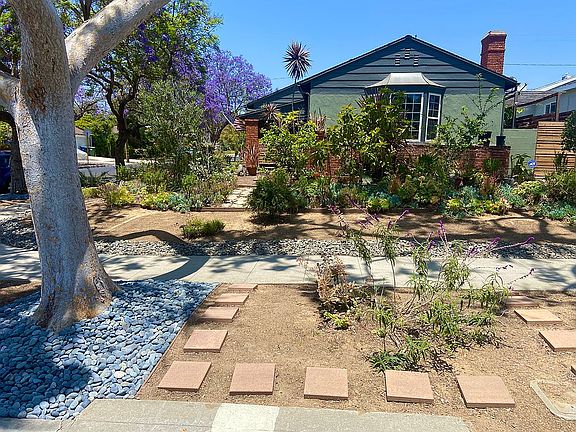 Front yard