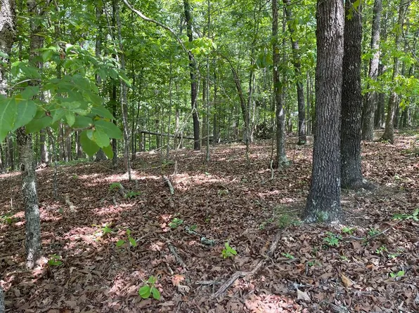 Lots 2&3 Chalcrest Way, Cave Spring, GA 30124