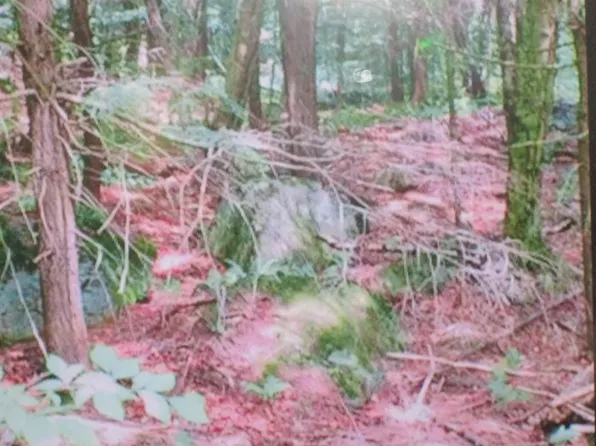 107-11.1 Wood lot Lane, Stoddard, NH 03464