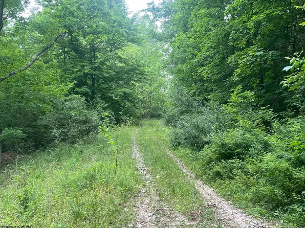 Keiths Fork Rd, Weston, WV 26452