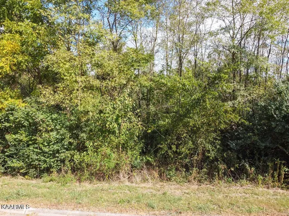 0 Ambernic Way #25, Sweetwater, TN 37874