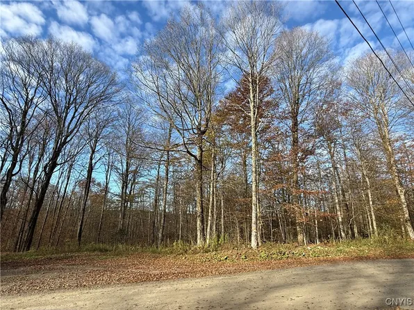 0 Magpie Ln #7, Truxton, NY 13158