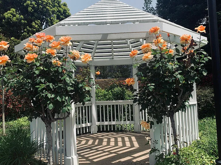 Common area gazebo