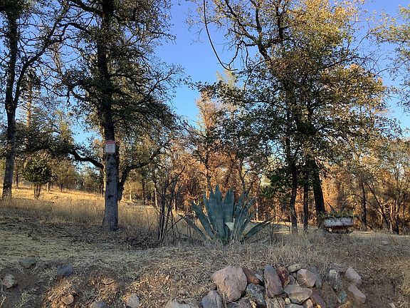 4th image of 20874 Boyle Rd