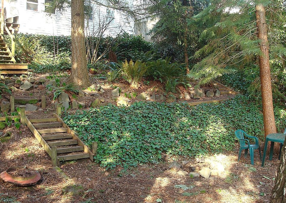 Park-Like Backyard
