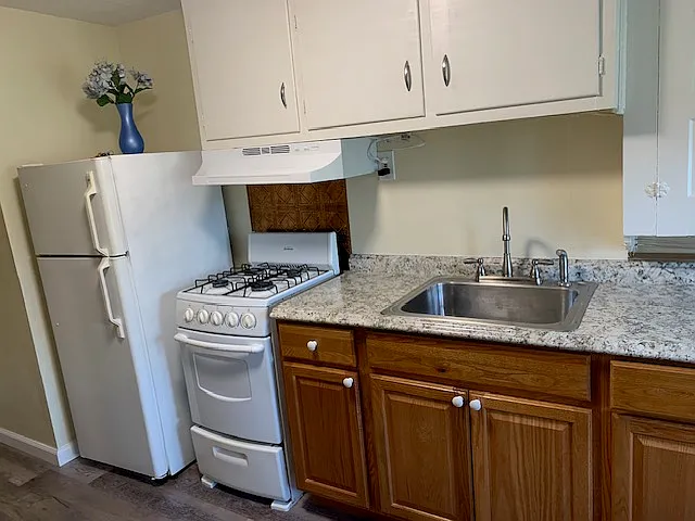 1 bed, 1000 sqft, $1,250 — Photo 2