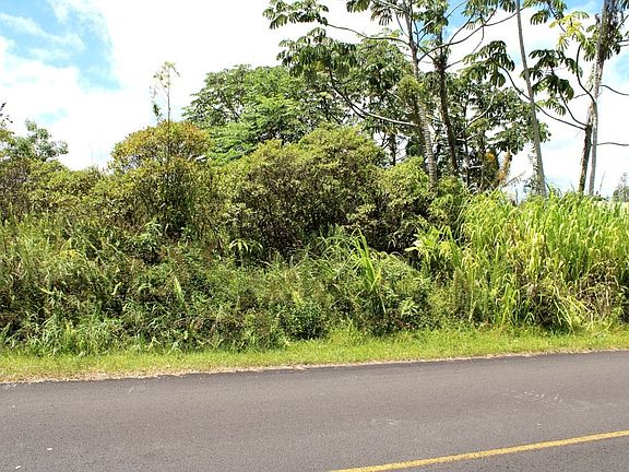 3rd image of 16-2070 Treefern Dr Lot 26