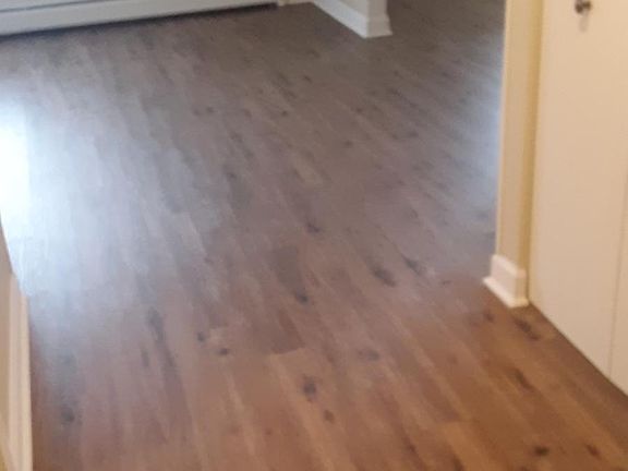 Hallway leading to the Livinng Room and Bonus room(right)