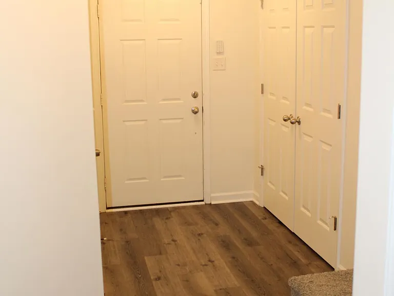 Entrance and coat closet