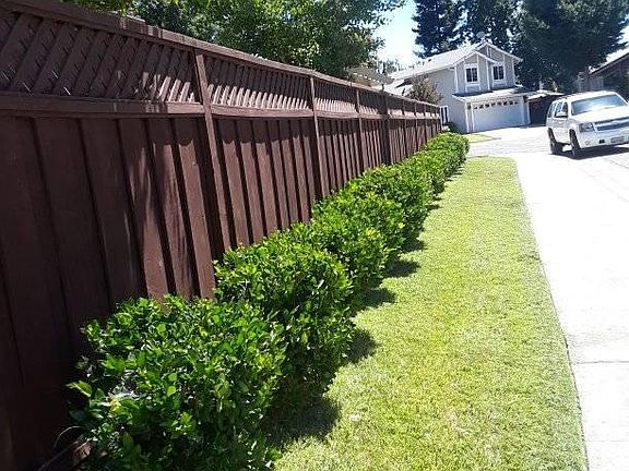 3rd image of 7543 Deltawind Dr