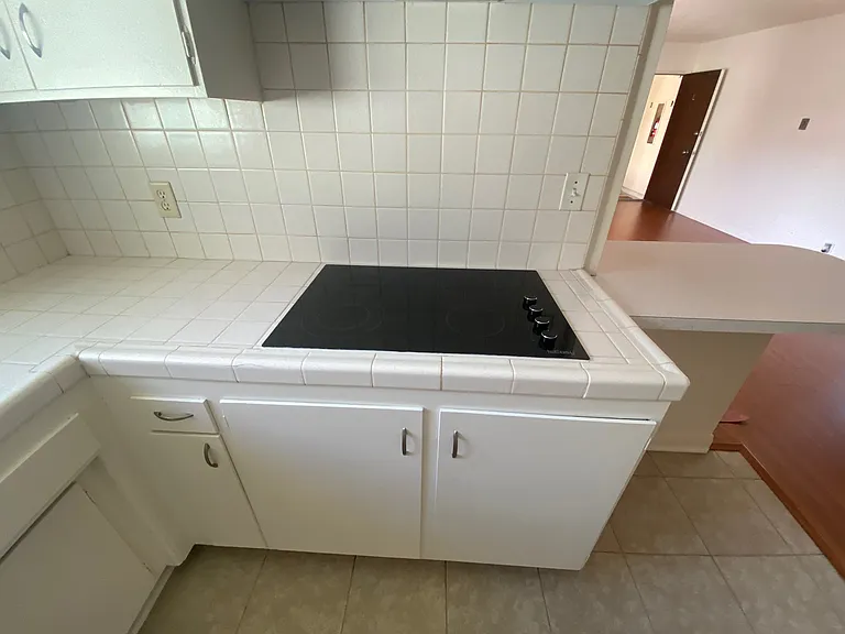309 Cornell Dr #L — Photo 5