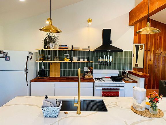 Zia Tile backsplash and chefs kitchen sink