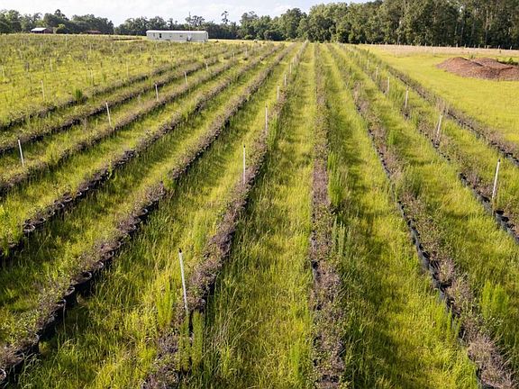 2nd image of 2 Penny Morris Rd