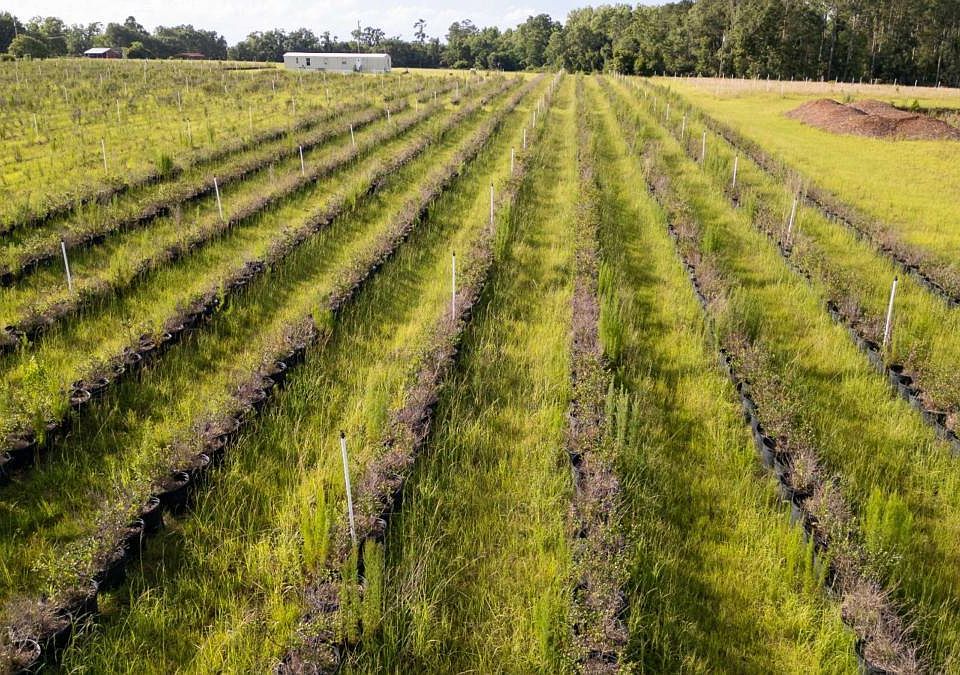 2nd image of 2 Penny Morris Rd