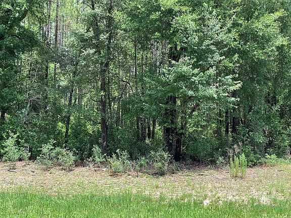 2nd image of 2020 NW County Road 341