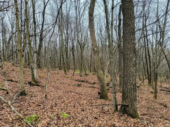 0 COUNTY HIGHWAY X, Cashton, WI 54619