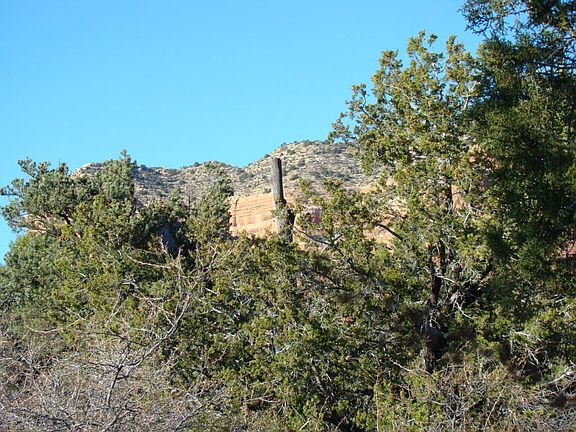 5th image of 35 Clearwater Cir #11