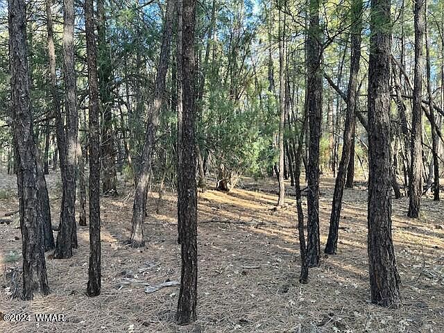 2nd image of 243 Gooseleg Cir