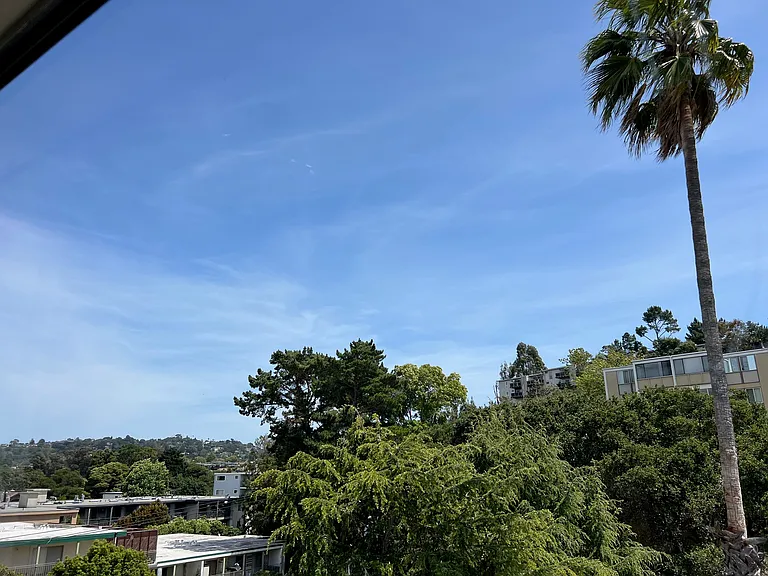 10 Mulberry Court — Photo 30