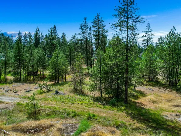 S Chapman Rd, Medical Lake, WA 99022