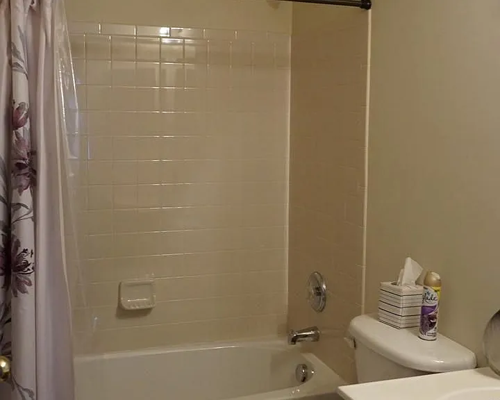 901 Pine Forest Ln — Photo 16