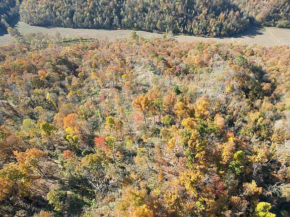 5th image of 99 Beech Creek Rd #Mid-12